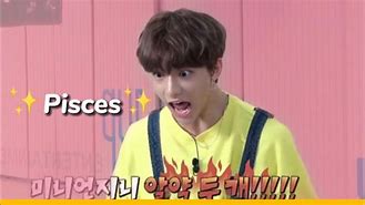 Image result for Stray Kids Zodiac Signs