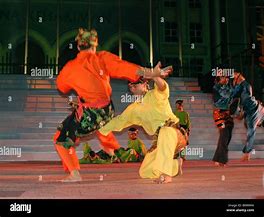 Image result for Silat Art