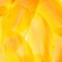 Image result for Pale Yellow Wallpaper