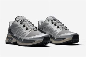 Image result for salomon XT wings