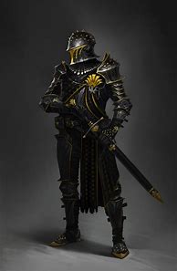 Image result for Knight in Black Armour