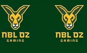 Image result for NBL Oz Gaming eSports