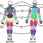 Image result for Fibromyalgia Pain Scale