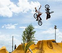 Image result for LDC BMX Dirt Rider Bike