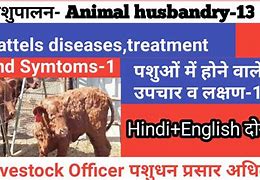 Image result for Common Cattle Diseases