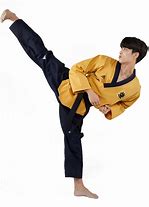 Image result for Taekwondo Outfit