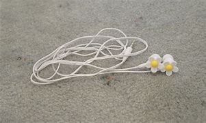 Image result for Flower Wired Earphones