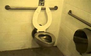 Image result for Flush Valve Toilet Bowl