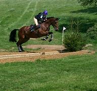 Image result for 1800s Horse and Rider