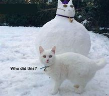 Image result for Cute Snow Animal Memes