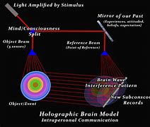 Image result for Holographic Universe Brain