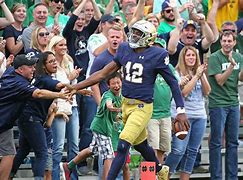 Image result for Notre Dame Fans