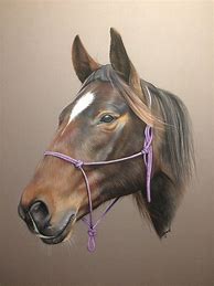 Image result for Pastel Horse Paintings Photo