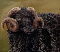 Image result for Black Sheep Art