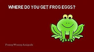 Image result for Funny Frog Jokes