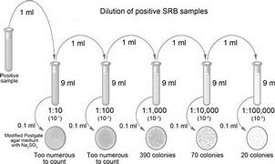 Image result for SRB Example