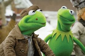 Image result for How to Make a Kermit Puppet