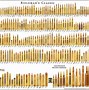 Image result for Hunting Rifle Calibers Smallest to Largest