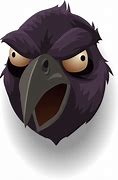Image result for Raven Bird Face