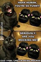 Image result for Happy Birthday Black Cat Meme