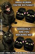 Image result for Really Funny Cat Memes