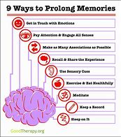 Image result for Memory Types Psychology