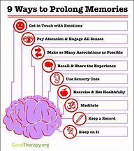 Image result for Retrospective and Introspective Memory Infographic