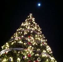 Image result for Mall of Georgia Christmas Tree