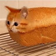 Image result for White Bread Factory Meme