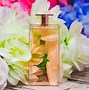 Image result for beauty-fragrance