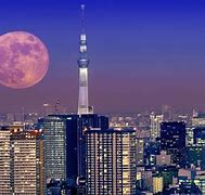 Image result for Japan Tokyo City Skyline