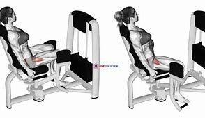 Image result for Sitting Hip Abduction Target Muscles