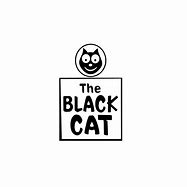 Image result for MTM Enterprises The Black Cat