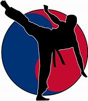 Image result for Taekwondo Martial Arts