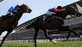 Image result for Horses Racing at Ascot