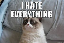 Image result for Grumpy Cat Hate