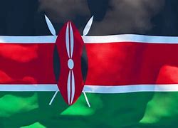 Image result for Kenya Africa Flag