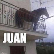 Image result for Juan Meme Bug