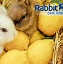 Image result for What Can Rabbits Eat