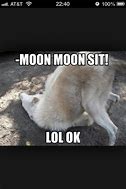 Image result for Moon Dog Meme