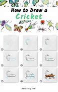 Image result for Draw a Cricket Step by Step