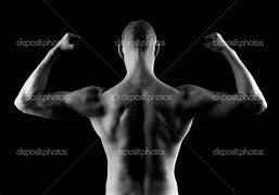 Image result for Back Muscles Workout at Home
