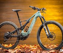 Image result for Ebikes
