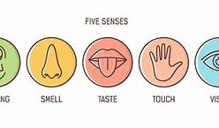 Image result for Shapes and Senses