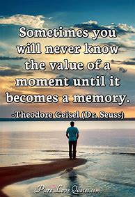 Image result for Sometimes You Will Never Know the Value of a Moment Quote