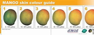 Image result for Mango Jeans Size Chart