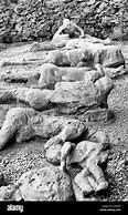Image result for Mount Vesuvius Kids' Bodies