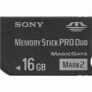 Image result for 16GB Memory Stick