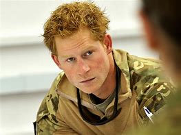 Image result for Prince Harry South Africa