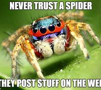 Image result for Good Morning Spider Meme